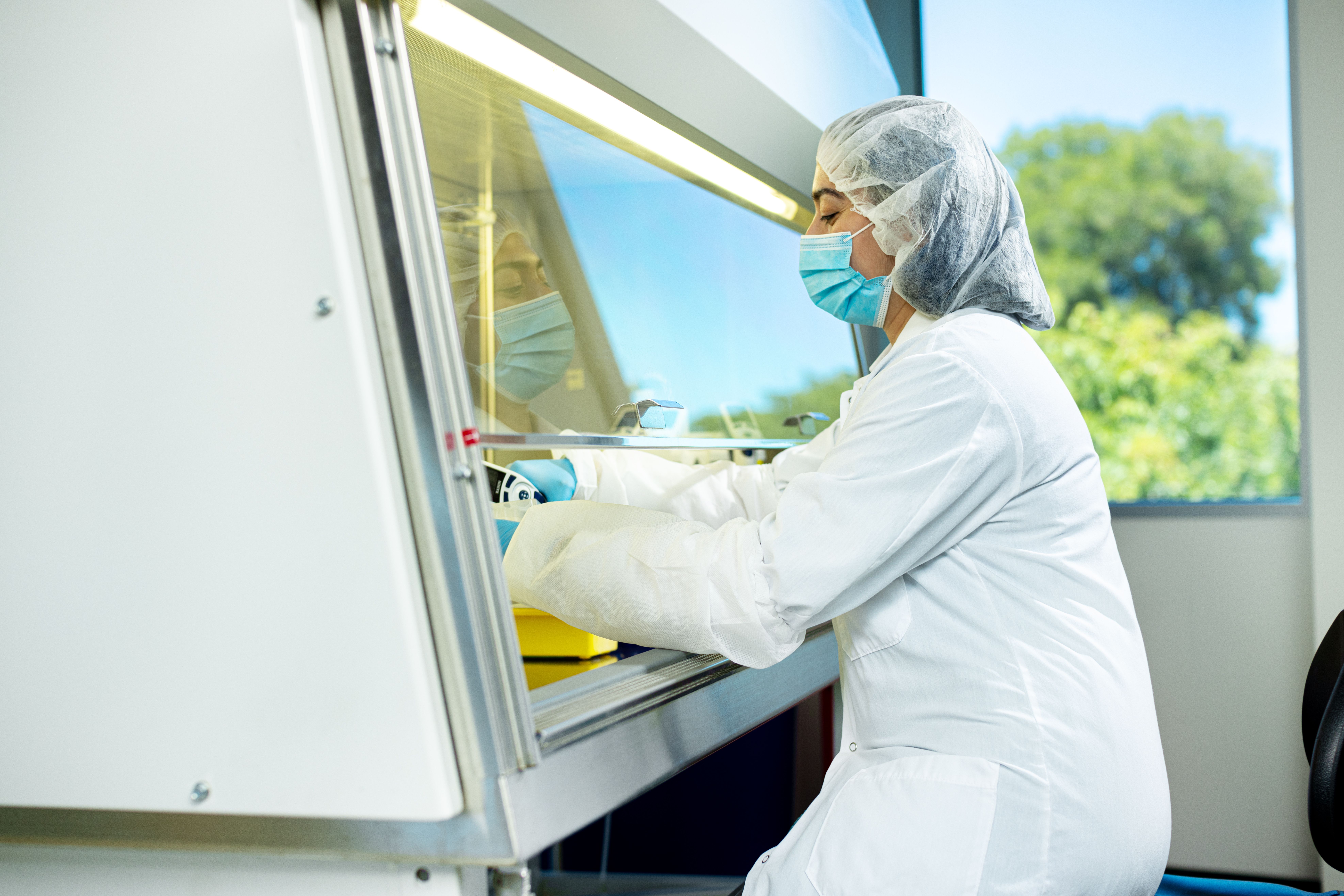 A scientist works behind the partially closed sash of a biosafety cabinet.
